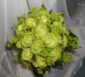 Green Roses Pictures