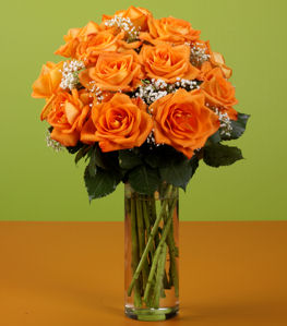 orange-roses