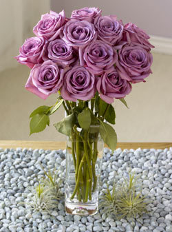 PC Florist – Flowers, Arrangements & Seasonal Bouquets : Buy Flowers