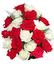 white-and-red-roses