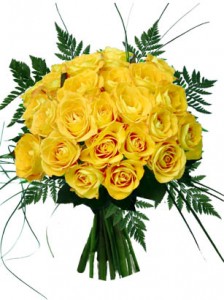 yellow-roses